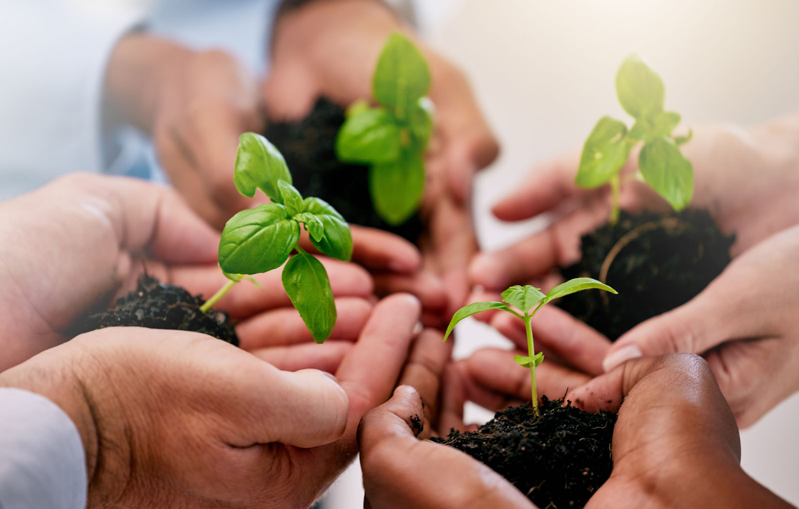 Learn more about the ongoing projects of Eco-Visions and the possibilities to participate in our studies.