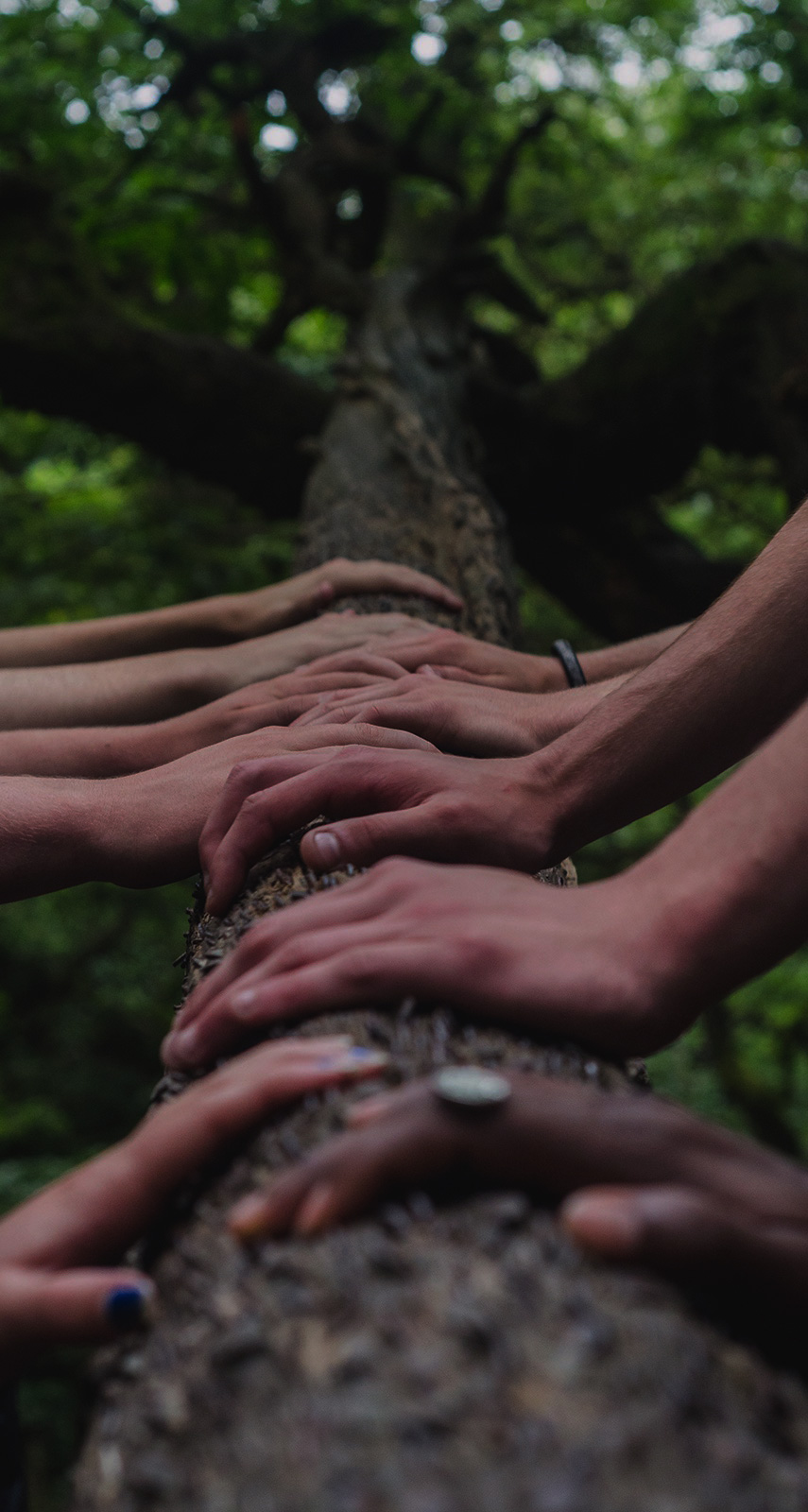 Examining Canadians' experiences and perceptions of climate change