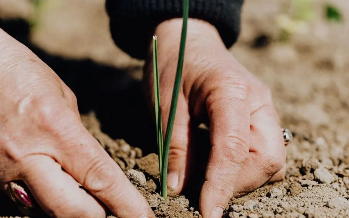 La Terre Comme Un Jardin