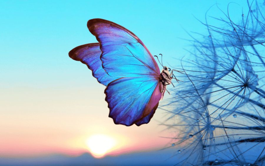 How Wonderful The World Could Be