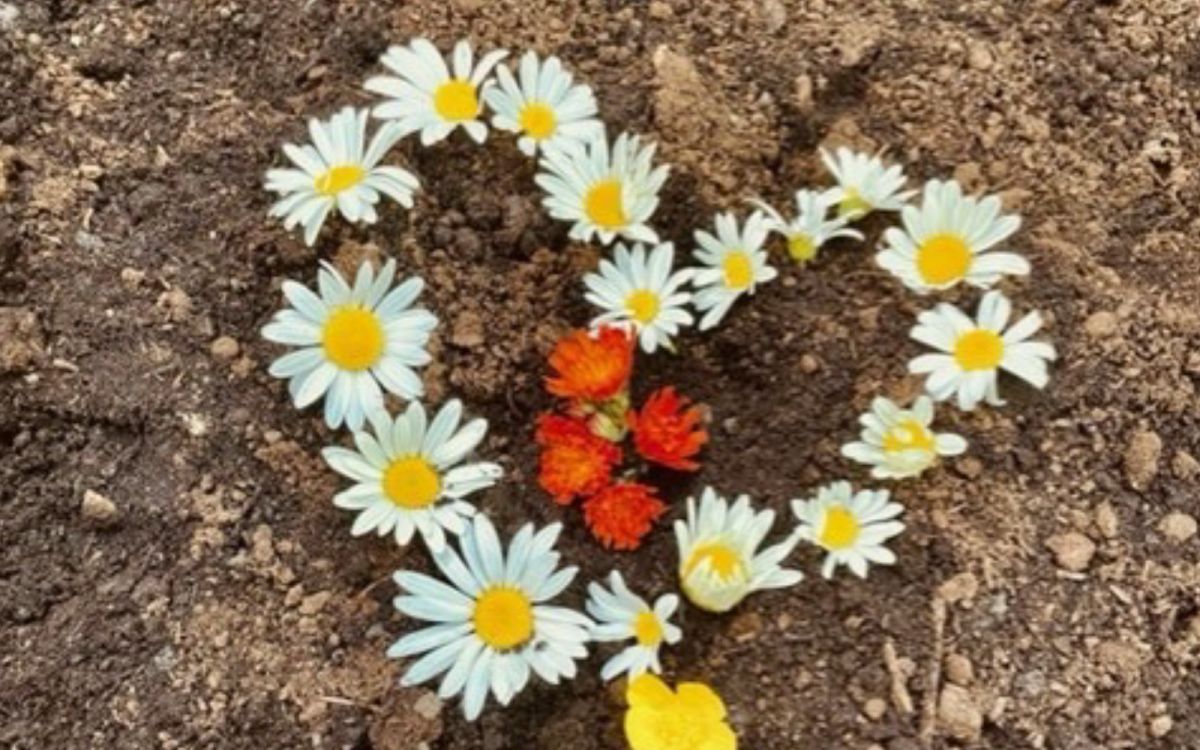 Tout est matière :  pour une spiritualité du jardin potager