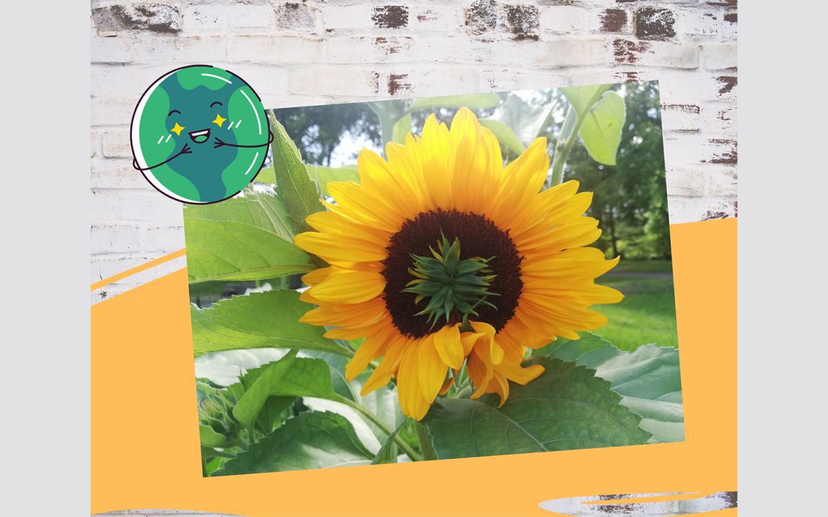 Eco-Anxiety Video Competition - Watch The Winning Entries!