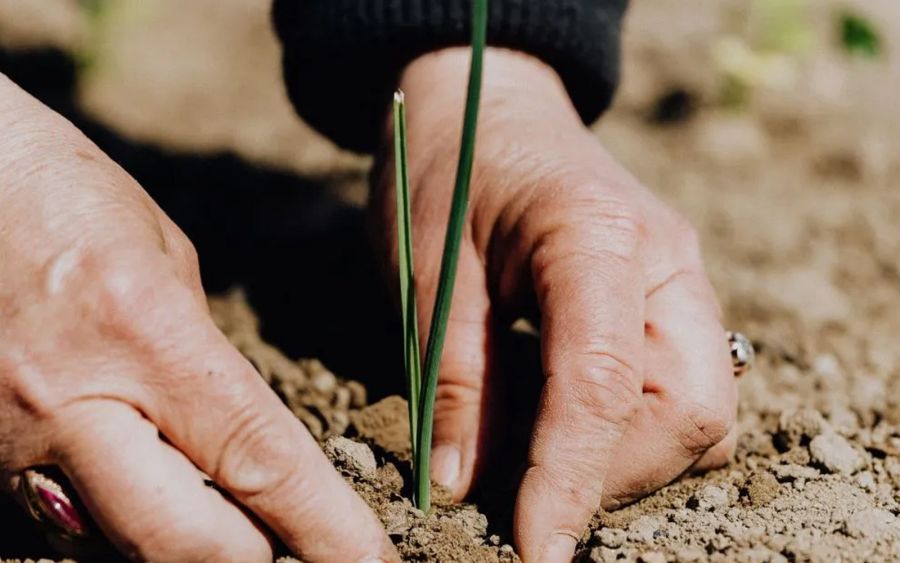 La Terre Comme Un Jardin